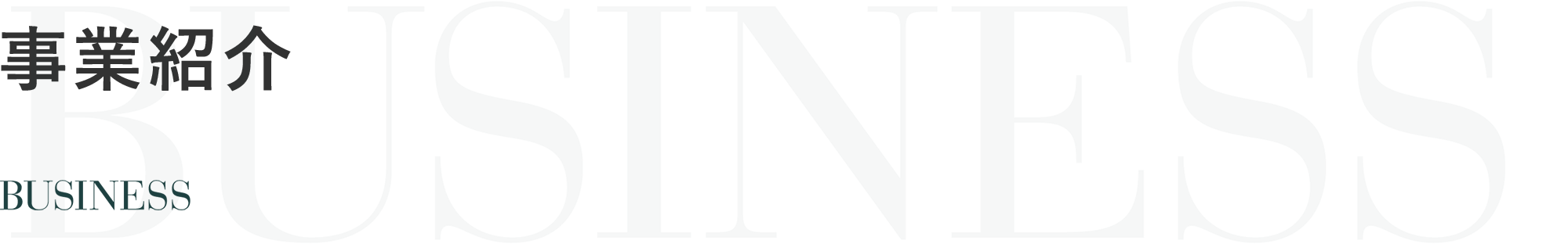 事業紹介 BUSINESS